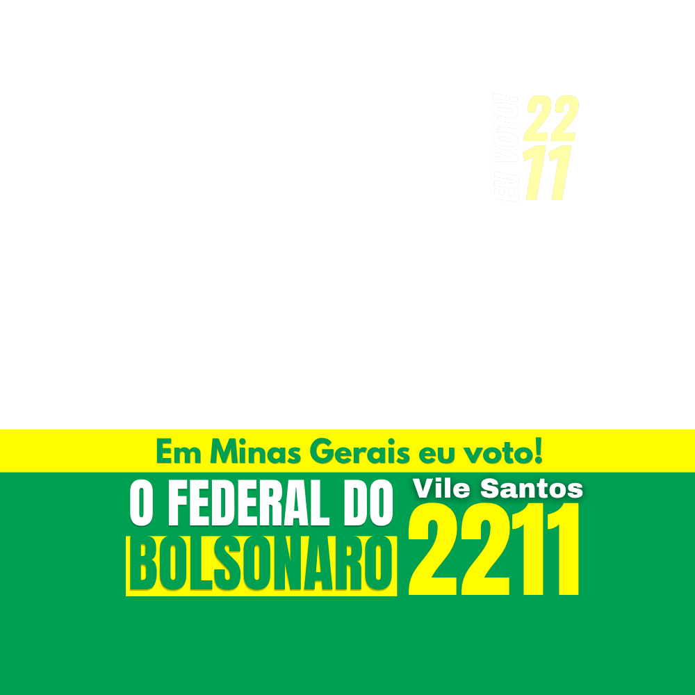 Logo de Vile Santos